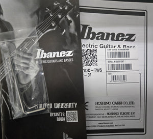 Ibanez Standard RG421DX Twilight Shade (047)
