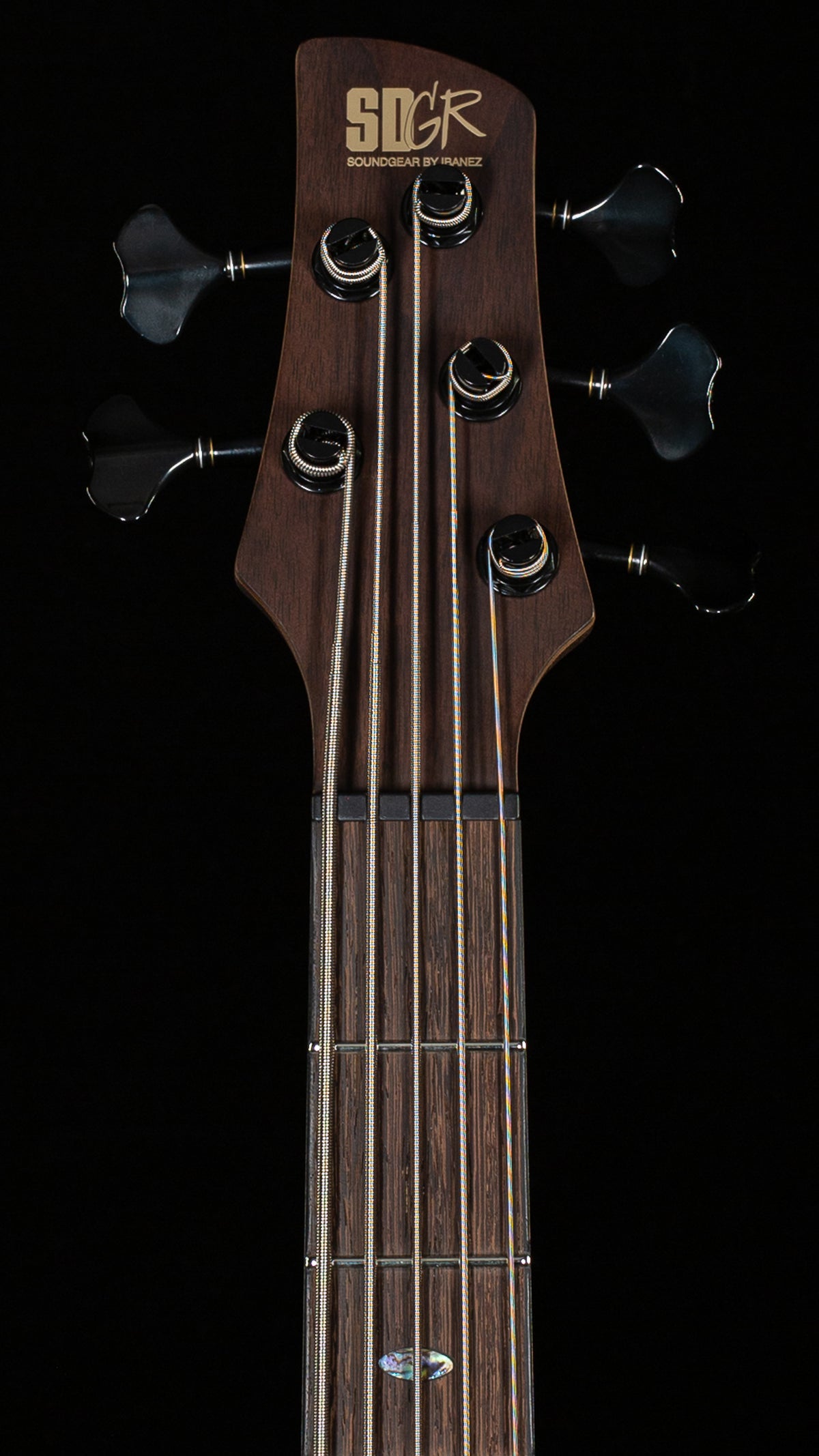 Ibanez SR Premium SR1325SBIVF Icebreaker Wave Flat 5 String (889)