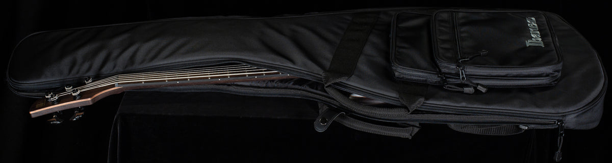 Ibanez SR Premium SR1325SBIVF Icebreaker Wave Flat 5 String (889)