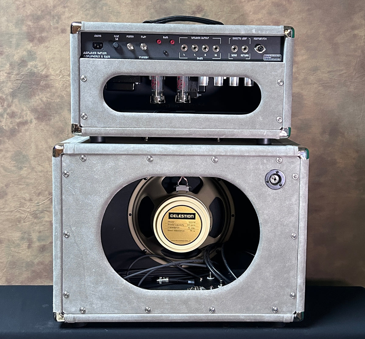 Amplified Nation Ampliphonix and Gain Head and 1x12 Cab Silver Suede