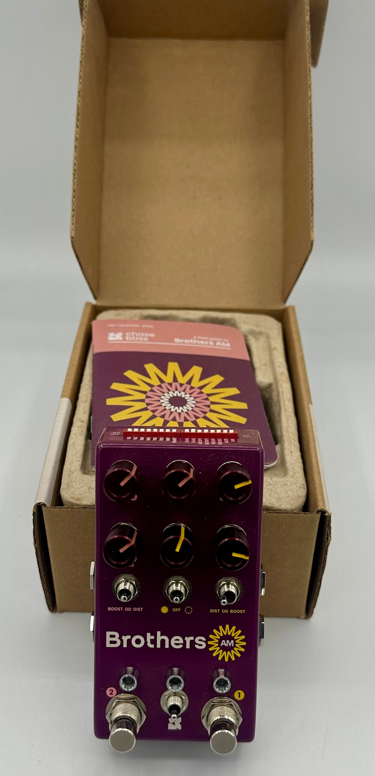 Chase Bliss Audio Brothers AM