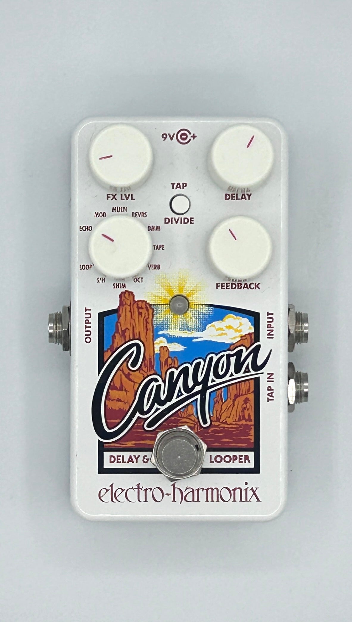 delay and looper pedal Electro-Harmonix Canyon Delay & Looper Pedal