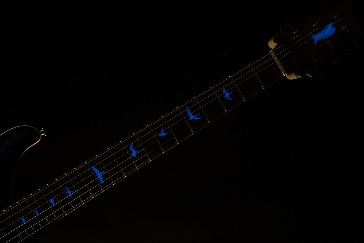PRS Private Stock 11017 Modern Eagle V Whale Blue Glow (682)