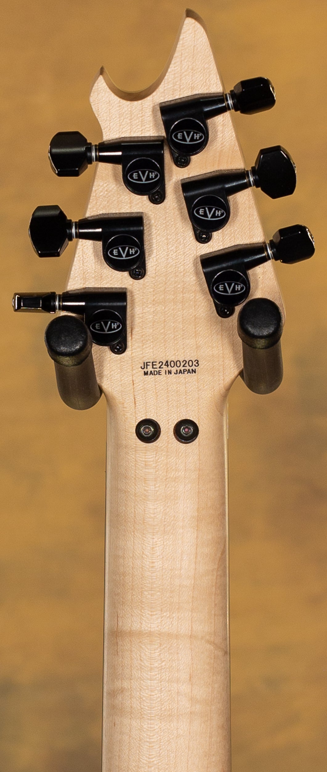 2024 EVH MIJ Series Signature Wolfgang
