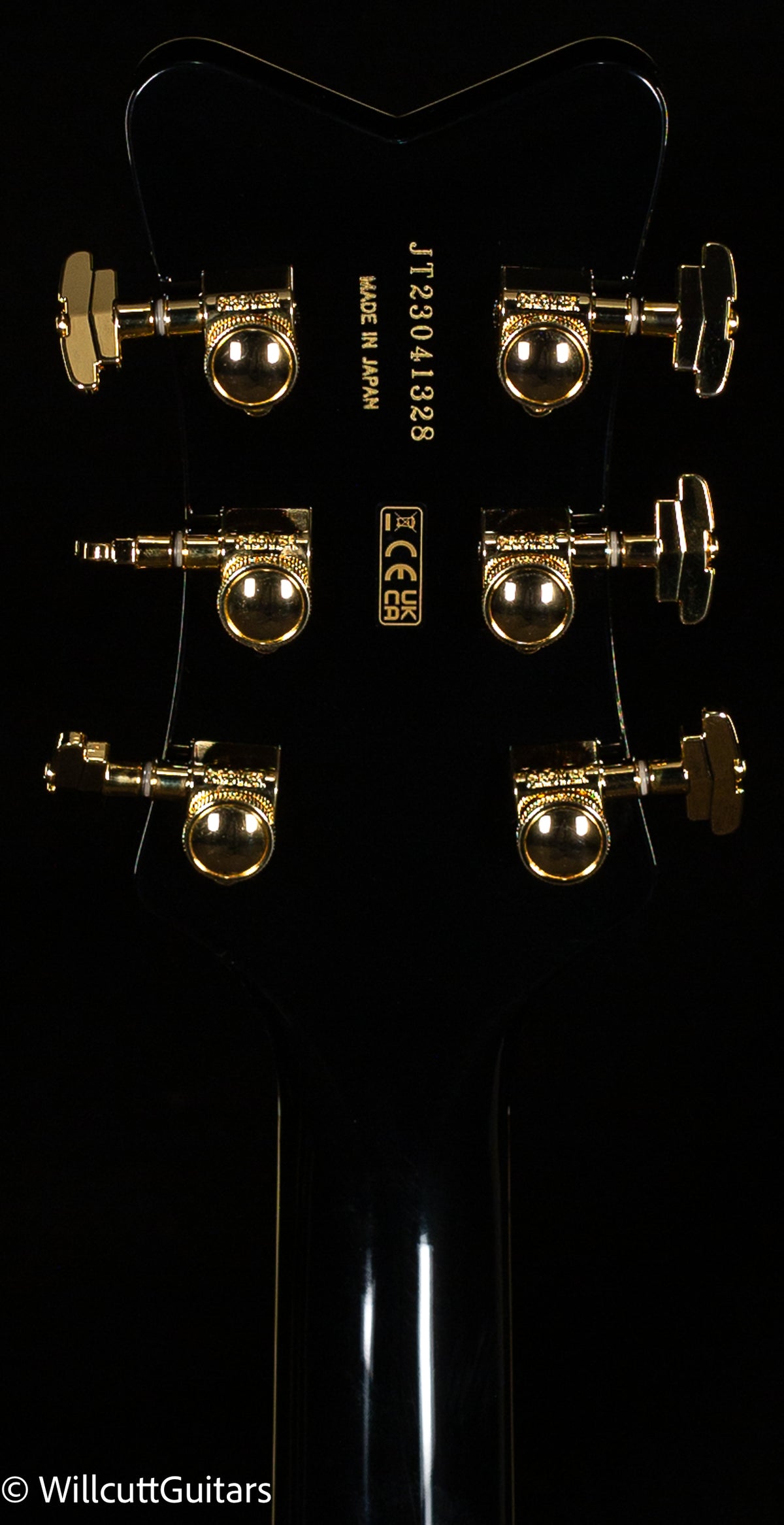 Gretsch G6134TG Limited Edition Paisley Penguin with String-Thru Bigsby Black Paisley (328)