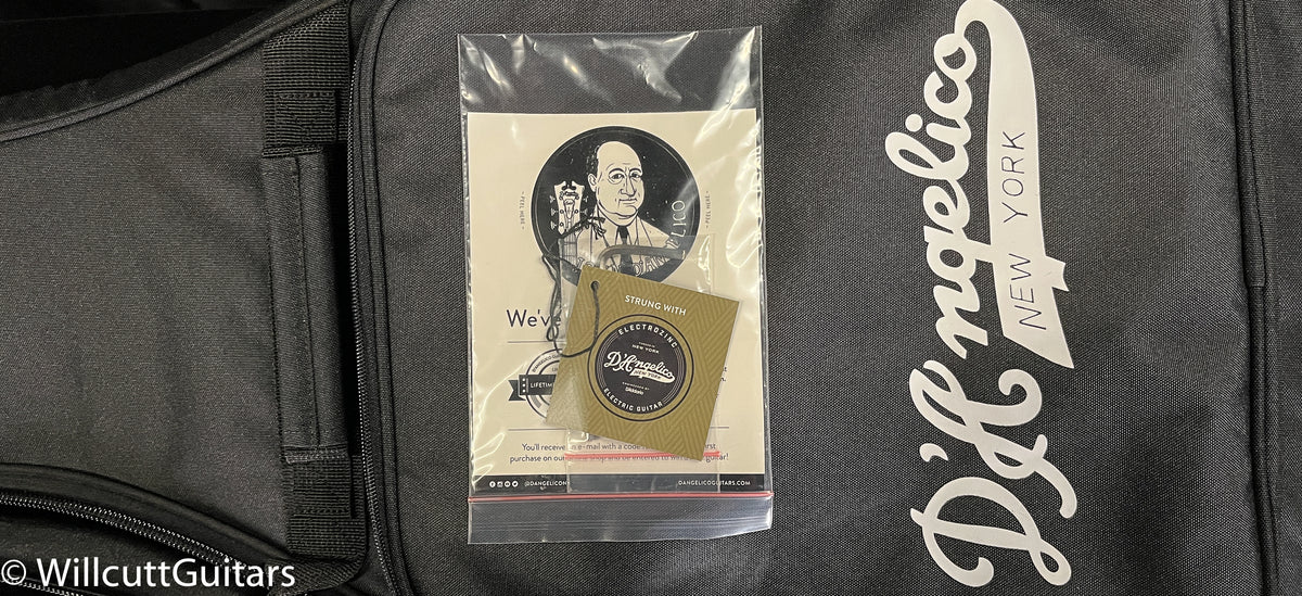 D&#39;Angelico Premier Mini DC Champagne (551)