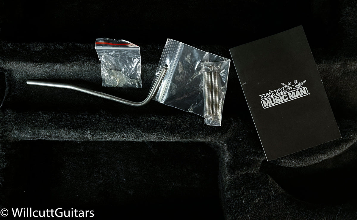 Ernie Ball Music John Petrucci Man Majesty 6