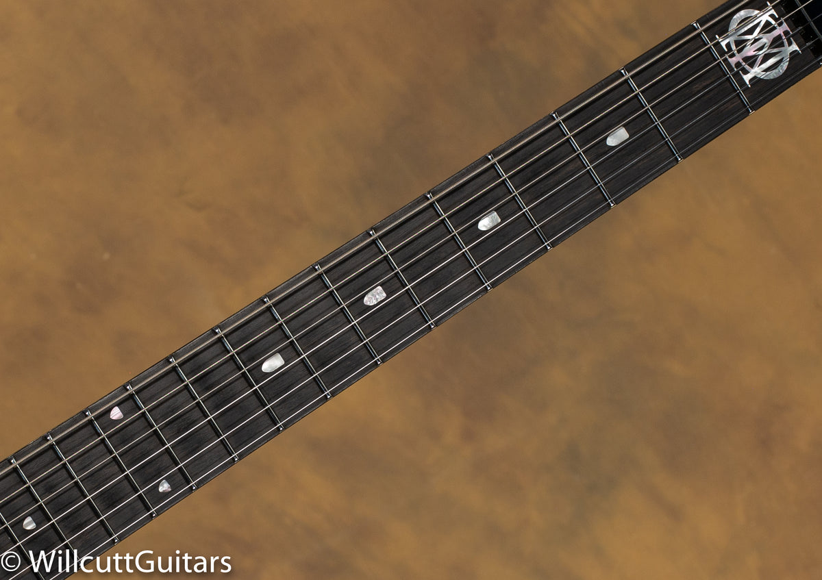 Ernie Ball Music John Petrucci Man Majesty 6