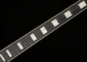 Ernie Ball Music Man StingRay Dustin Kensrue Nitro Black Honey (535)