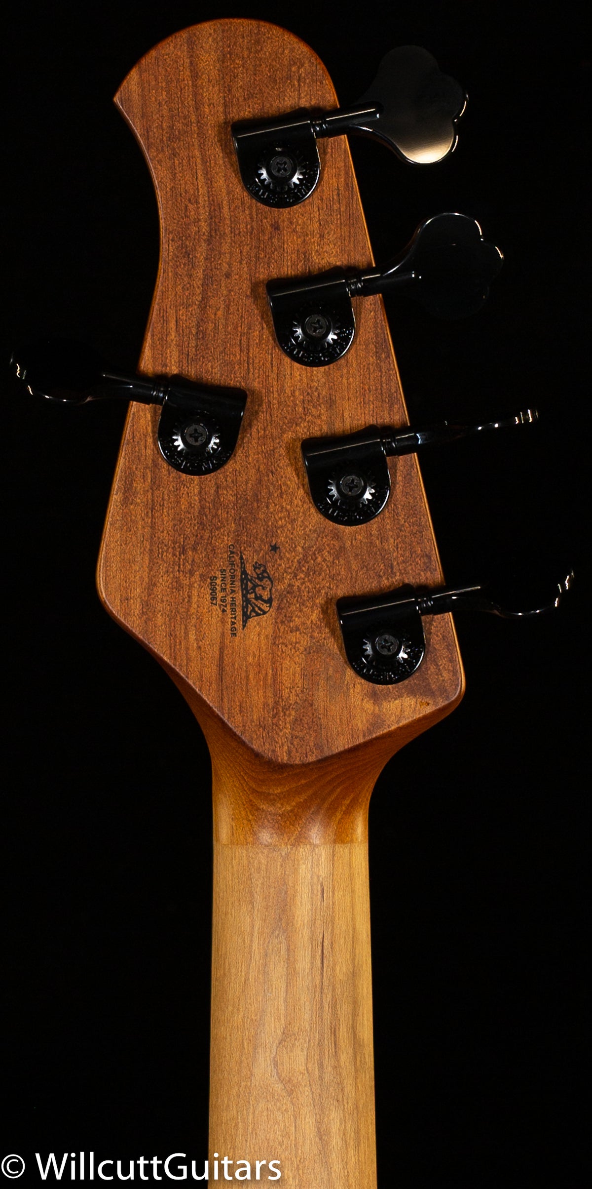 Ernie Ball Music Man DarkRay 5 Starry Night (067)