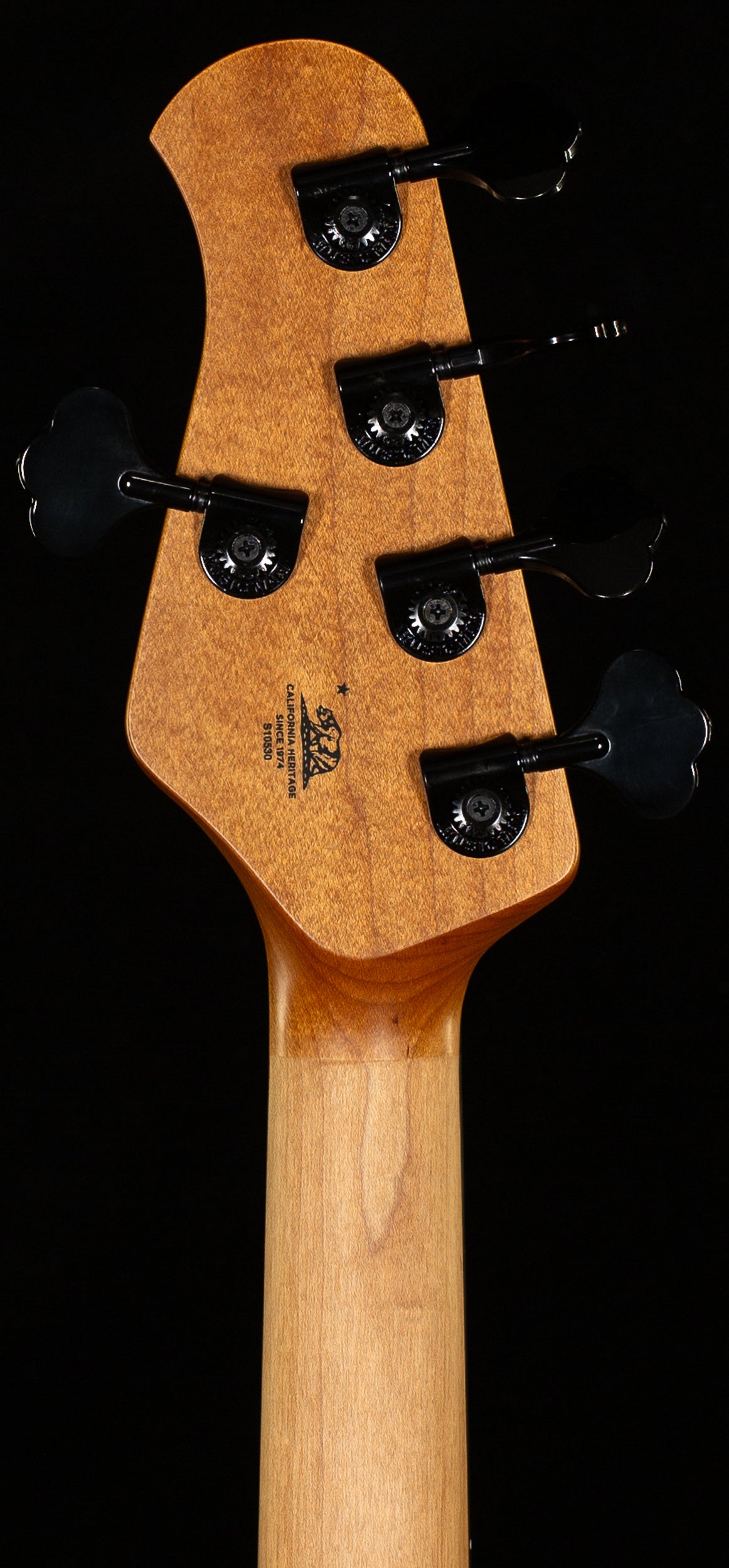 Ernie Ball Music Man DarkRay 5 Dark Rainbow (530)