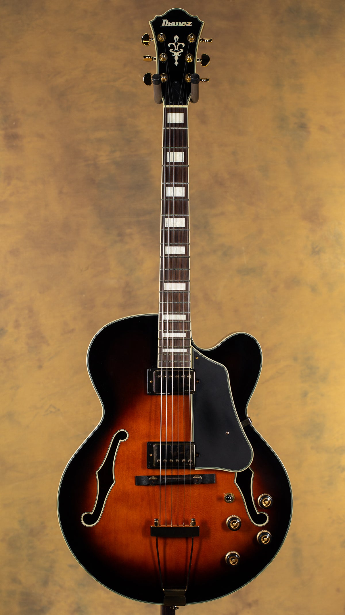 2013 Ibanez AFJ95 Artcore Expressionist