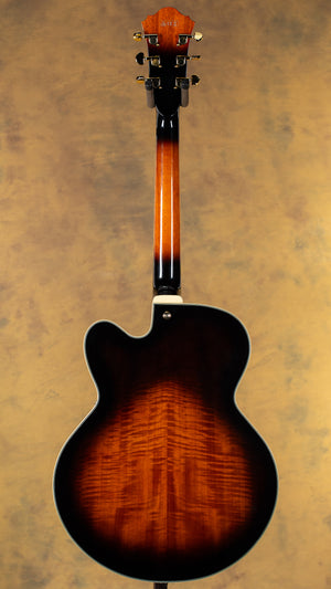 2013 Ibanez AFJ95 Artcore Expressionist