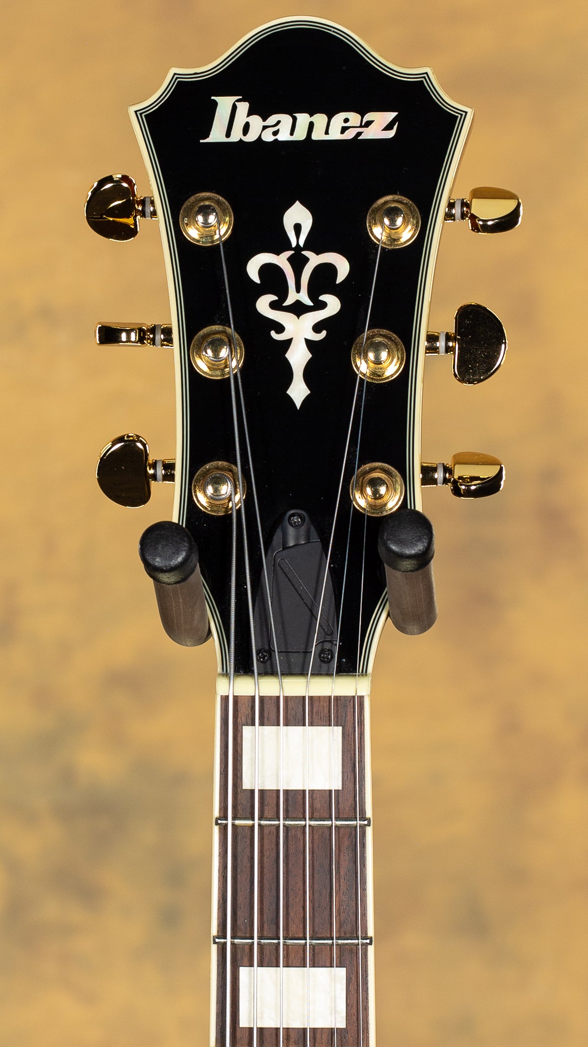2013 Ibanez AFJ95 Artcore Expressionist