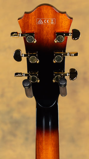2013 Ibanez AFJ95 Artcore Expressionist