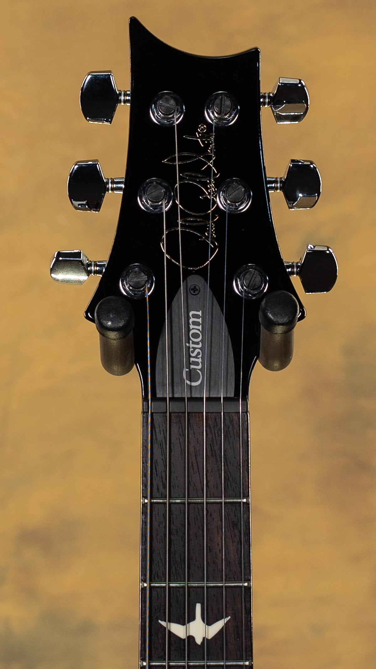 2023 PRS S2 Custom 24-08 Elephant Gray (132)