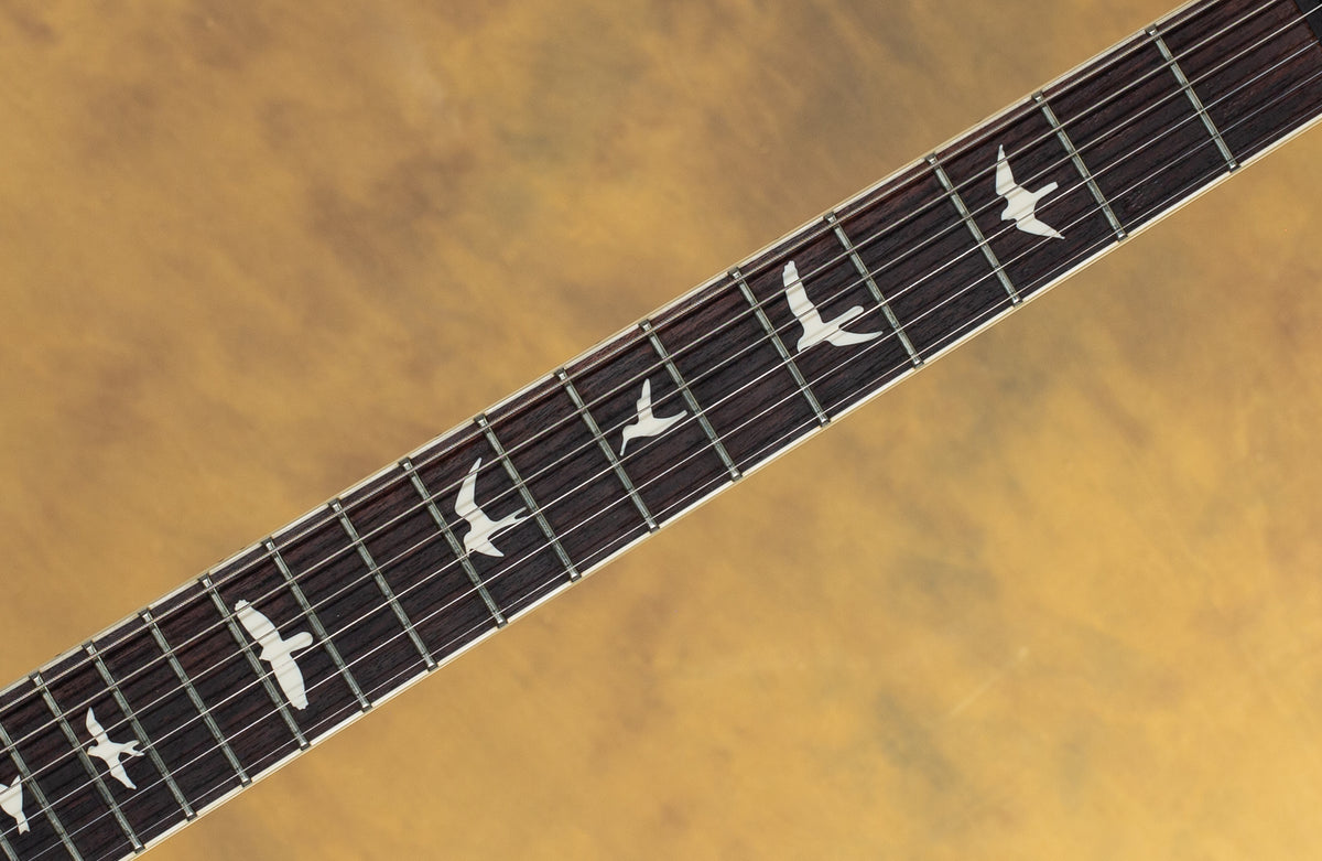 2023 PRS S2 McCarty 594 Thinline Space Blue