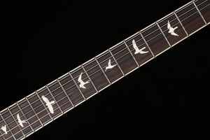PRS S2 Mira 594 Black Rainbow Hollowflake (595)