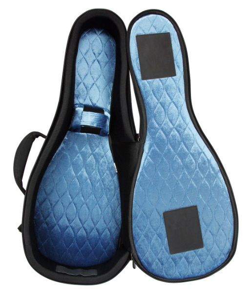 Reunion Blues Continental A and F-Style Mandolin Case, Midnight Series