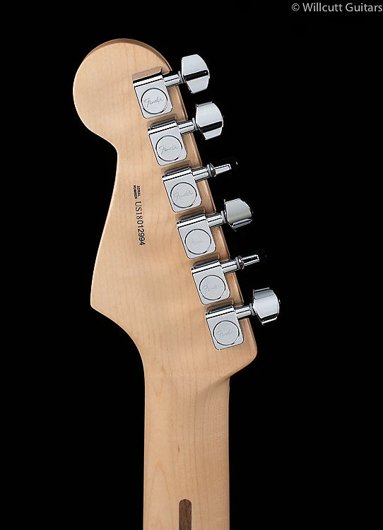 Fender LTD American Professional Stratocaster Aged Natural (617)