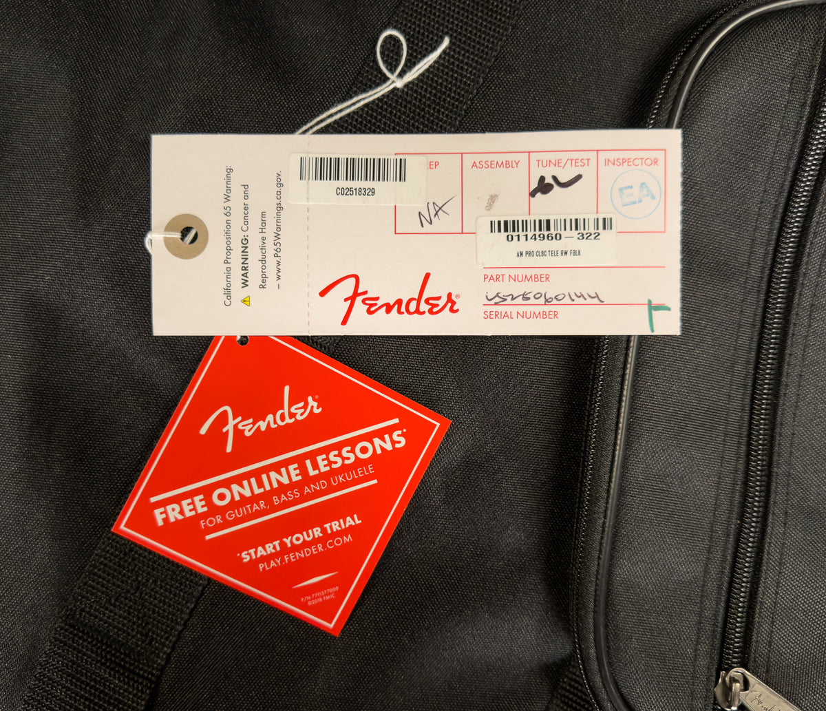 Fender American Professional Classic Telecaster Rosewood Fingerboard Faded Black (144)