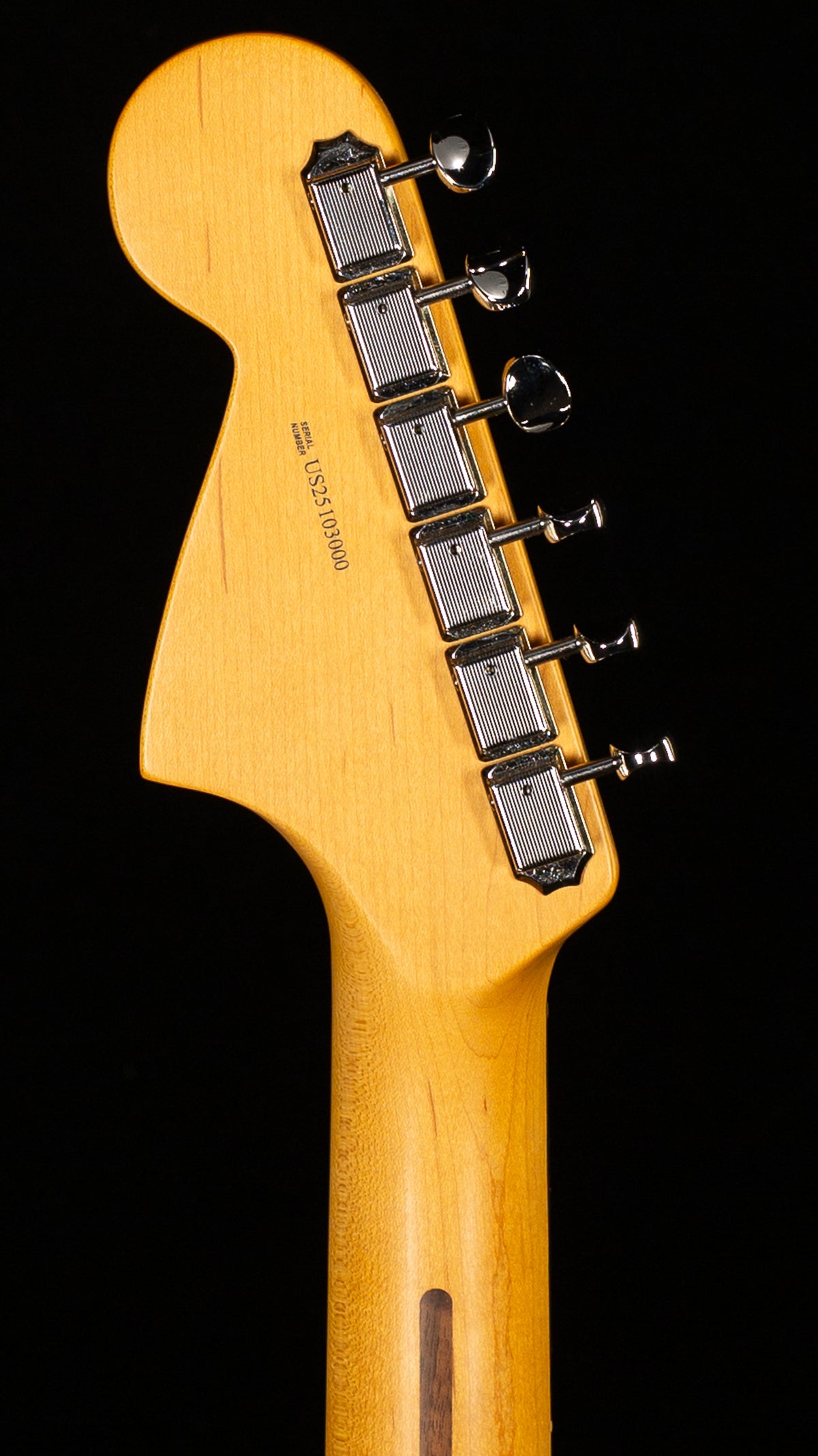 Fender American Professional Classic Jaguar Rosewood Fingerboard 3-Color Sunburst (000)