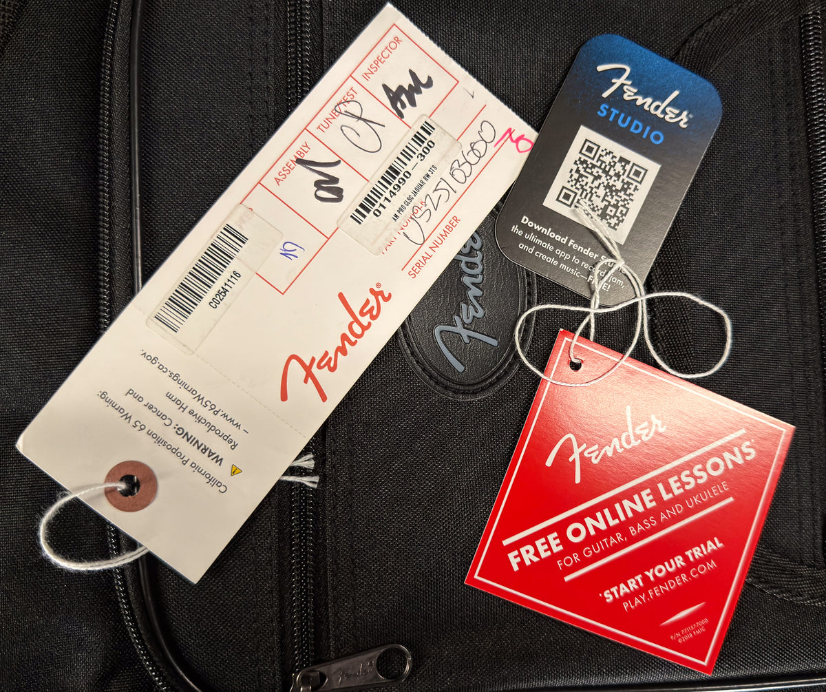 Fender American Professional Classic Jaguar Rosewood Fingerboard 3-Color Sunburst (000)