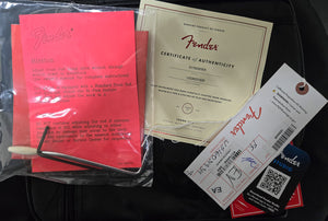 Fender Limited Edition American Professional Classic Stratocaster featuring the Fender Silent System Daphne Blue (939)