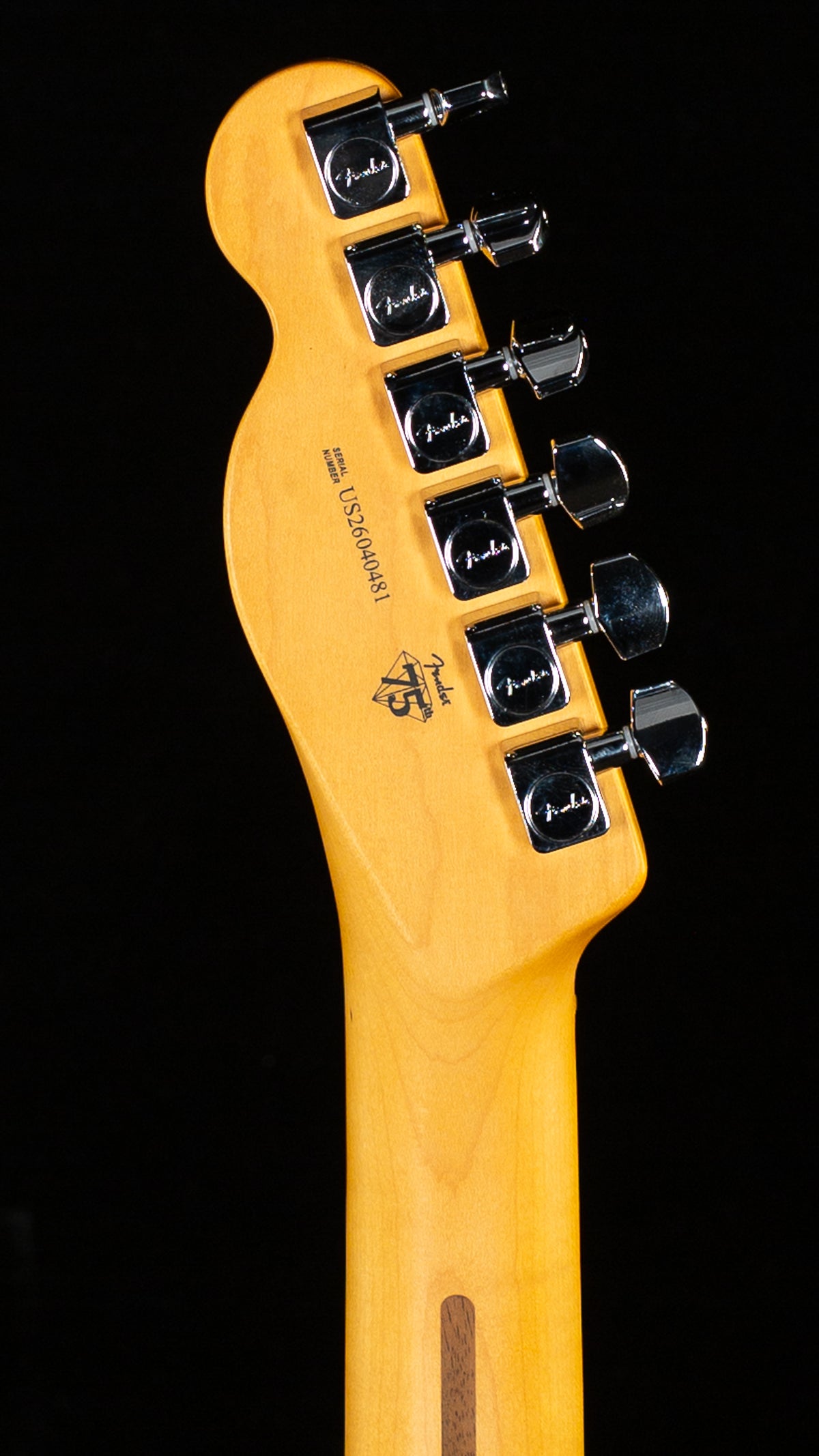 Fender American Professional Telecaster Natural (481)