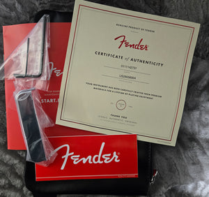 Fender American Professional Telecaster Aged Cherry Burst (004)