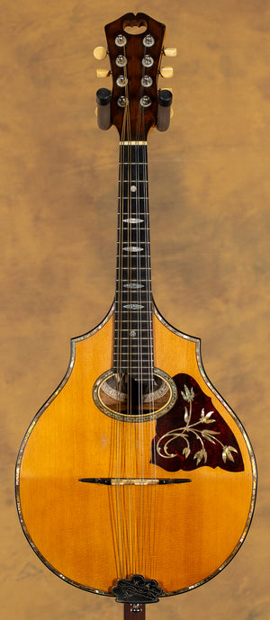 Vega Vintage Model 207, 1923 Cylinder Back Mandolin