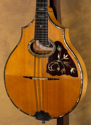 Vega Vintage Model 207, 1923 Cylinder Back Mandolin