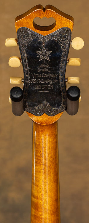 Vega Vintage Model 207, 1923 Cylinder Back Mandolin