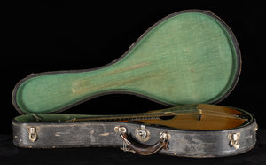 Vega Vintage Model 207, 1923 Cylinder Back Mandolin