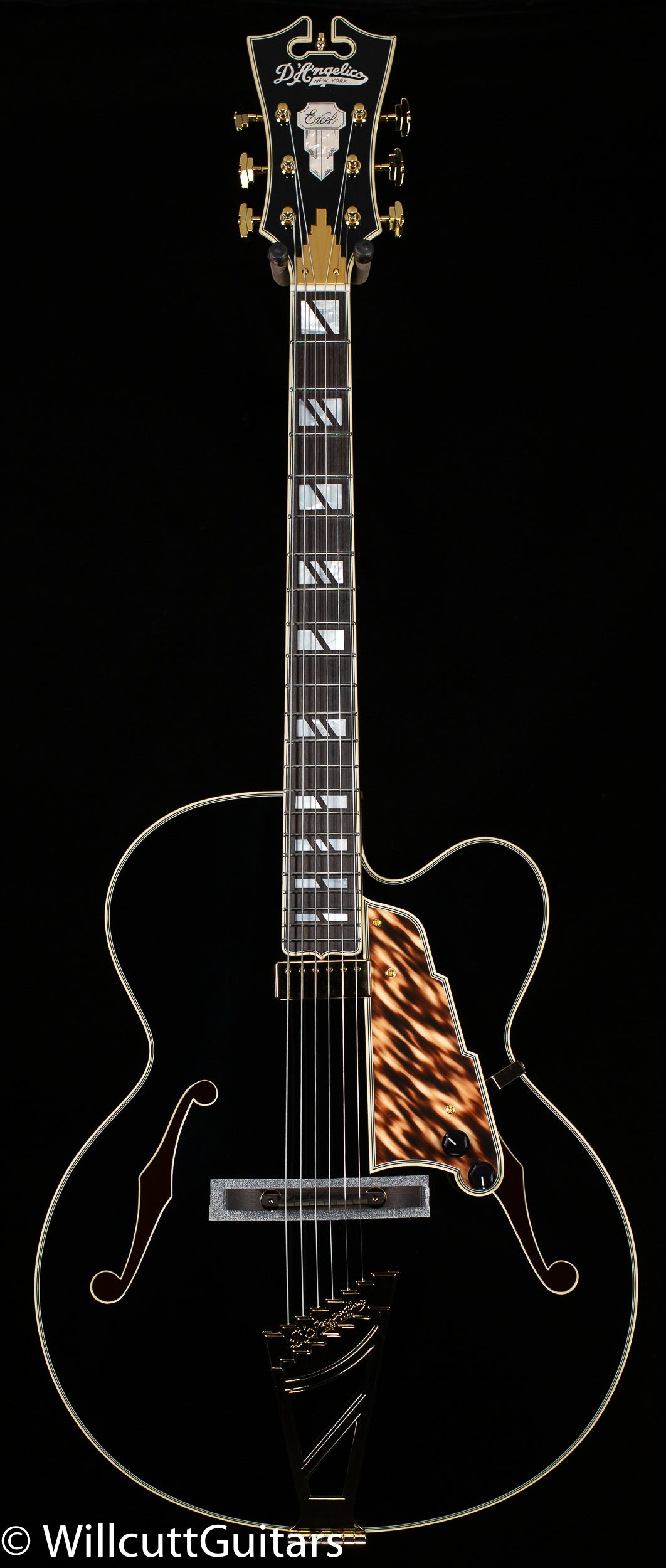 D'Angelico Guitars - Willcutt Guitars D'Angelico Guitars - Willcutt Guitars