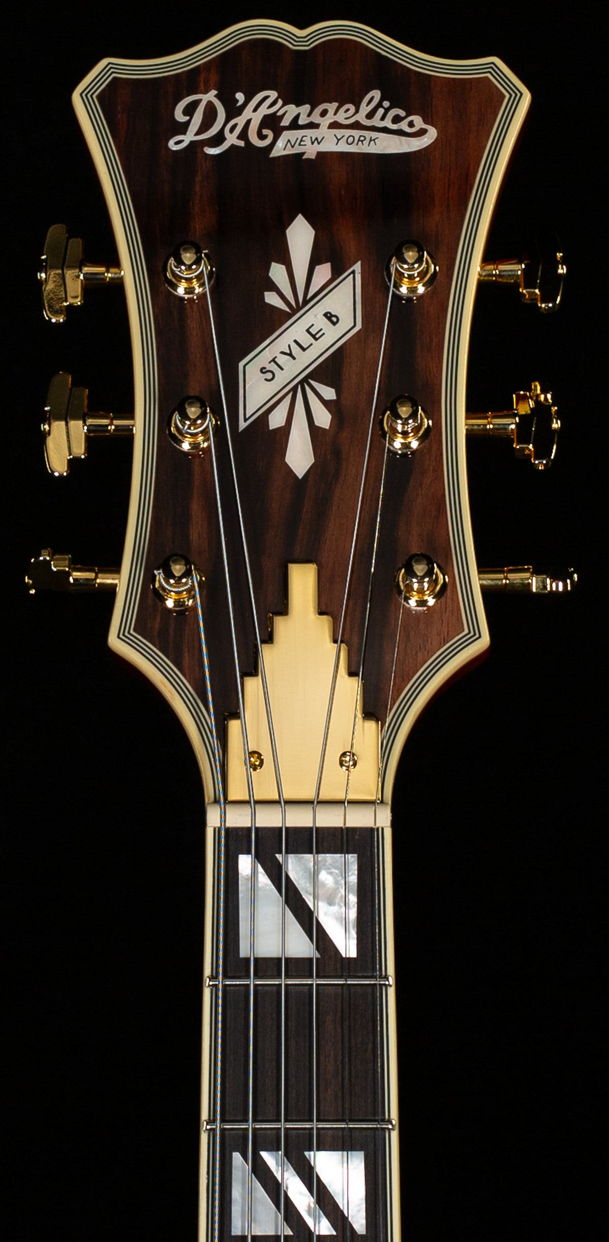 D&#39;Angelico Excel Style B Dark Iced Tea Burst (102)