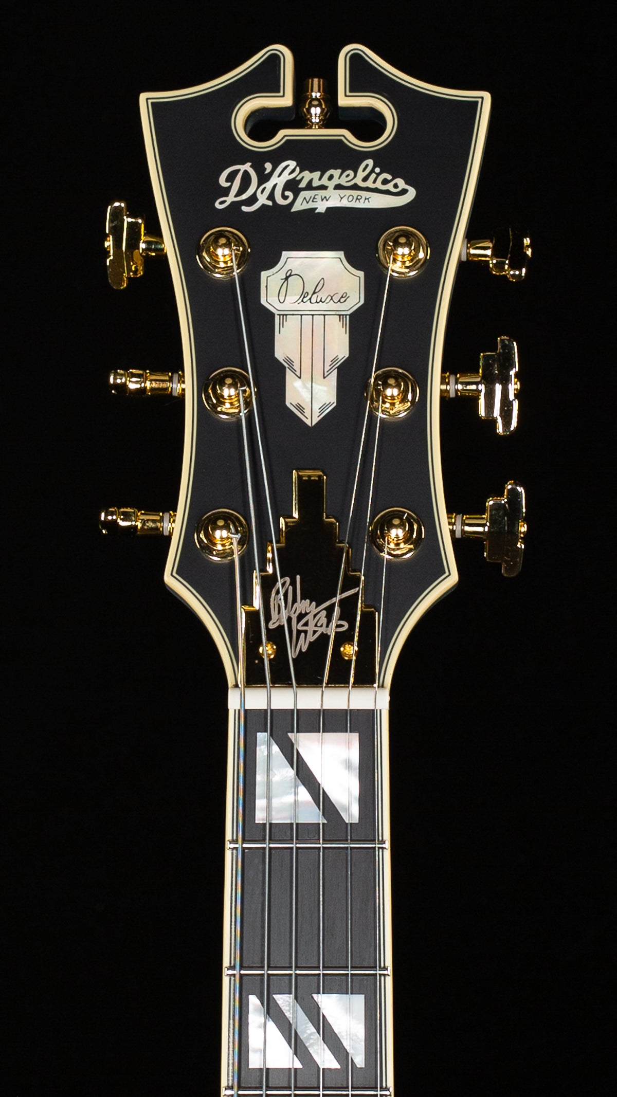 D'Angelico Deluxe Bobby Weir 3 SS Matte Stone (287)