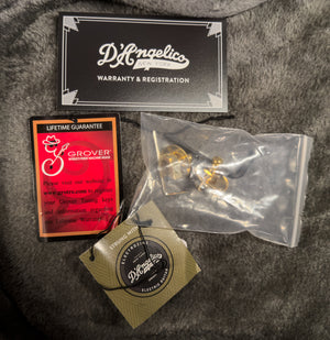 D'Angelico Deluxe Bobby Weir 3 Satin Trans Wine (368)