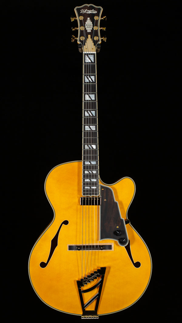 D'Angelico Excel 16 Amber (198) - Willcutt Guitars