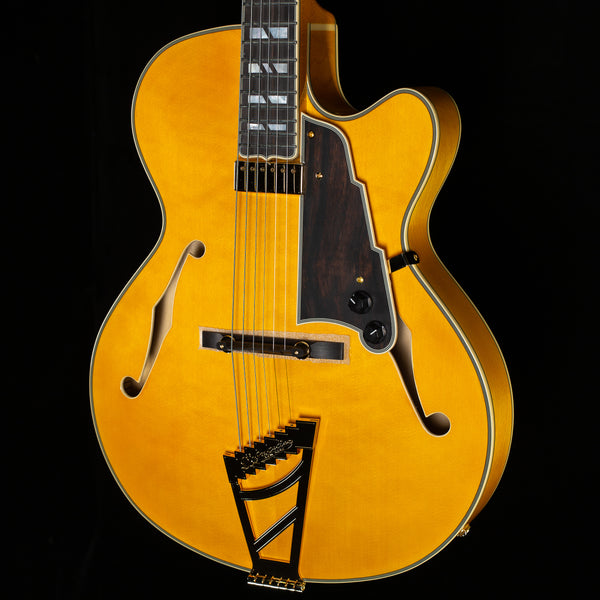 D'Angelico Excel 16 Amber (198) - Willcutt Guitars