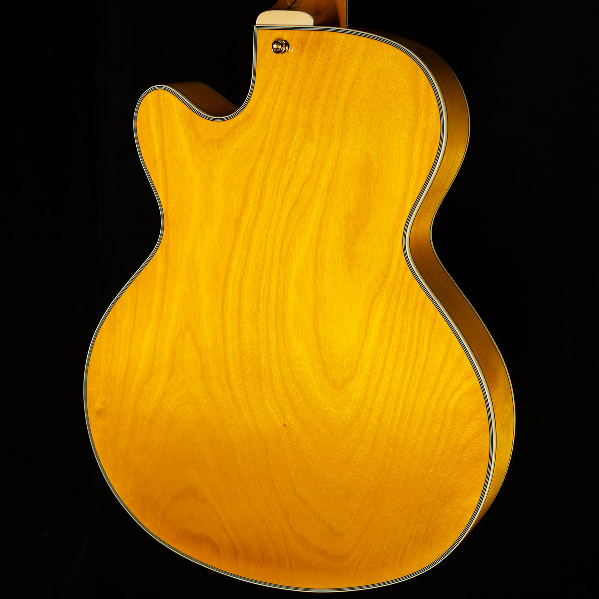 D&#39;Angelico Excel 16 Amber (198)