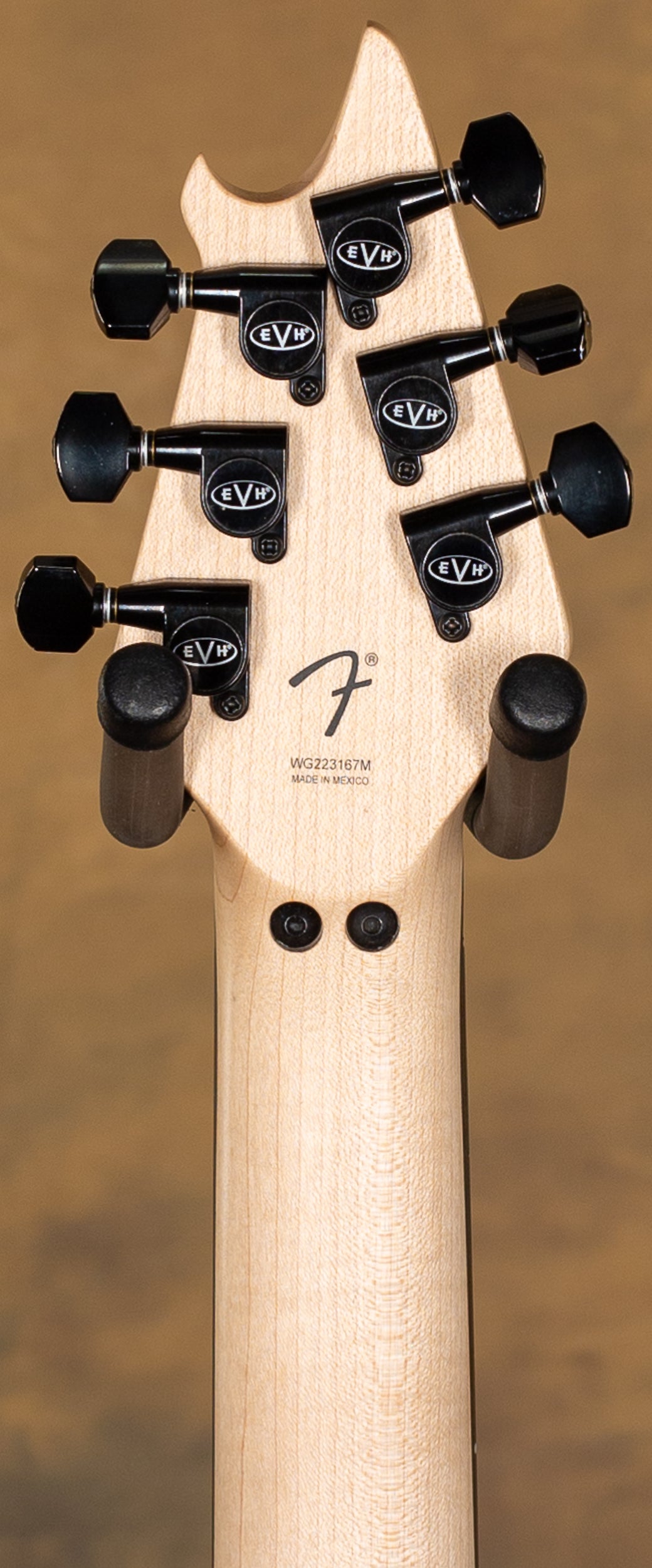 EVH Wolfgang Special Ebony Fingerboard Stealth Black