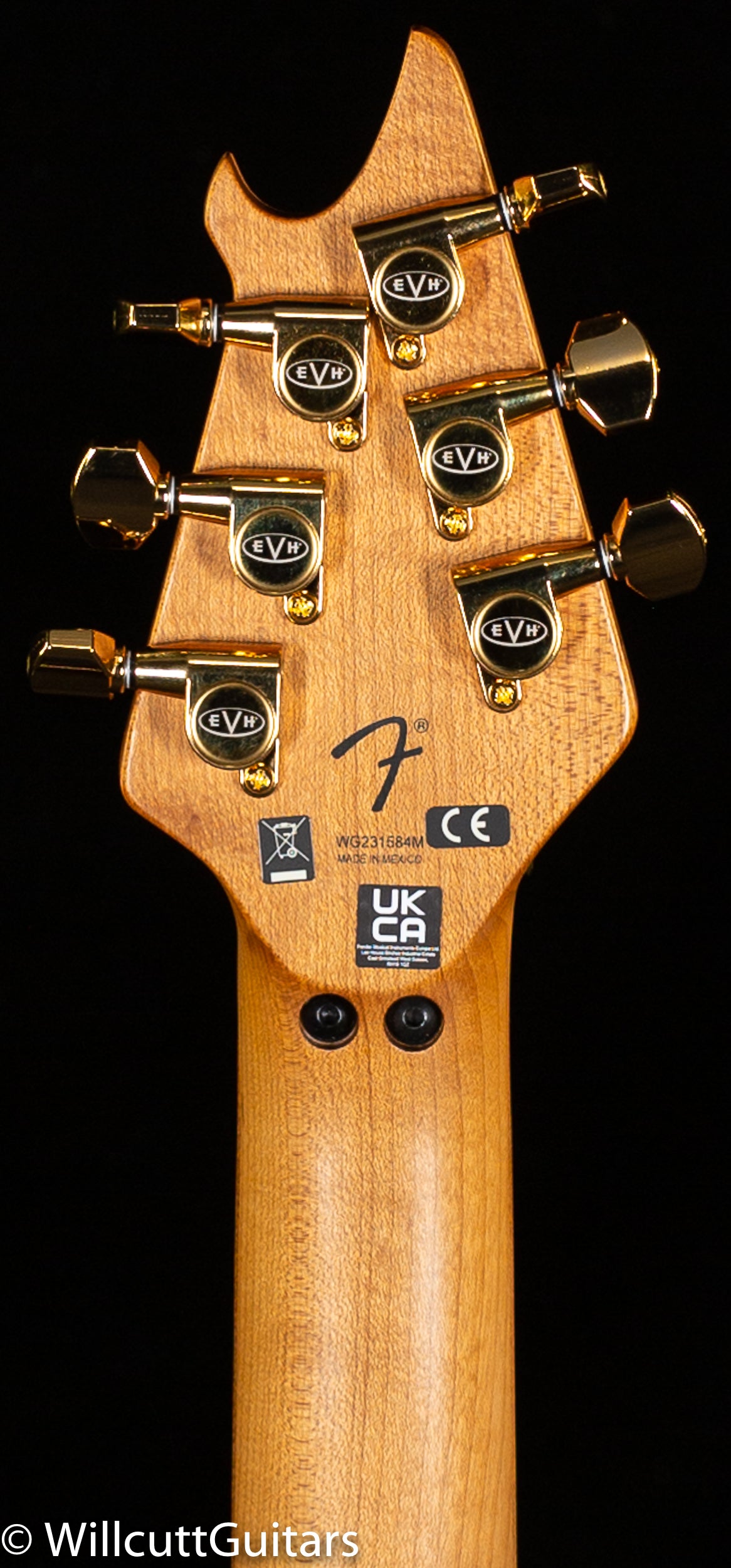 EVH Wolfgang Special QM, Baked Maple Fingerboard, Purple Burst (584)