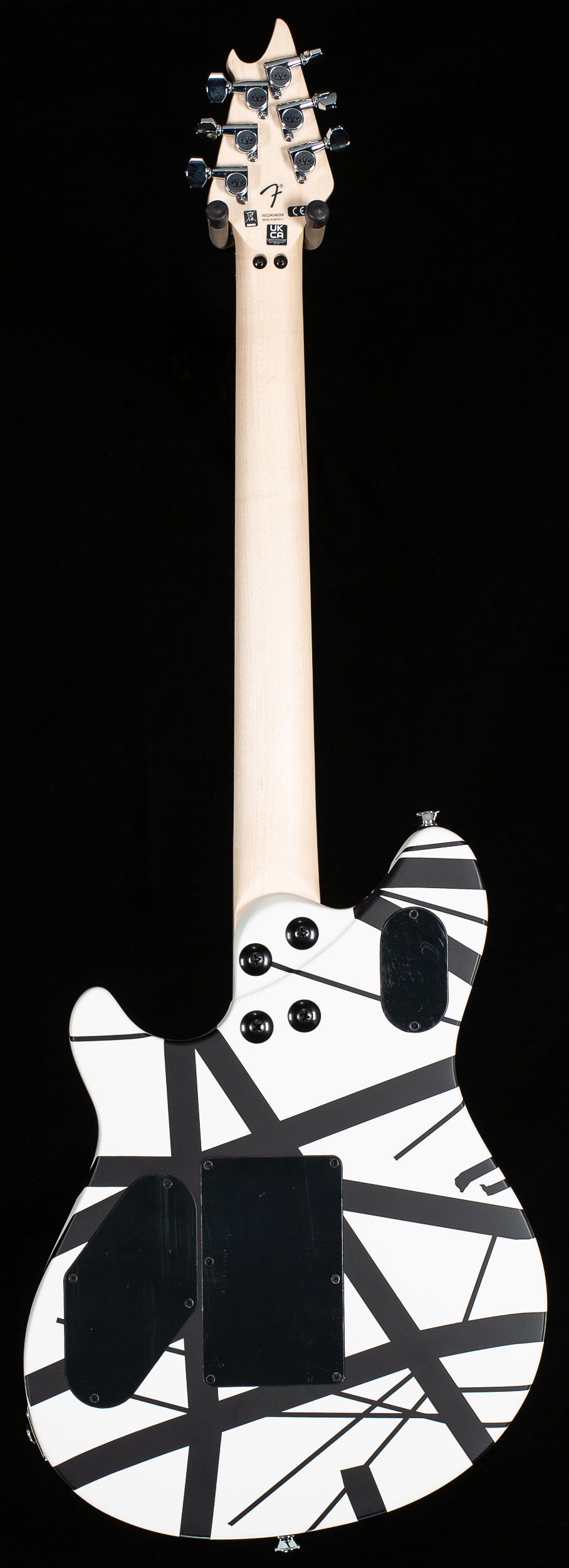 EVH Striped Series Demo | Black and White (Van Halen 1