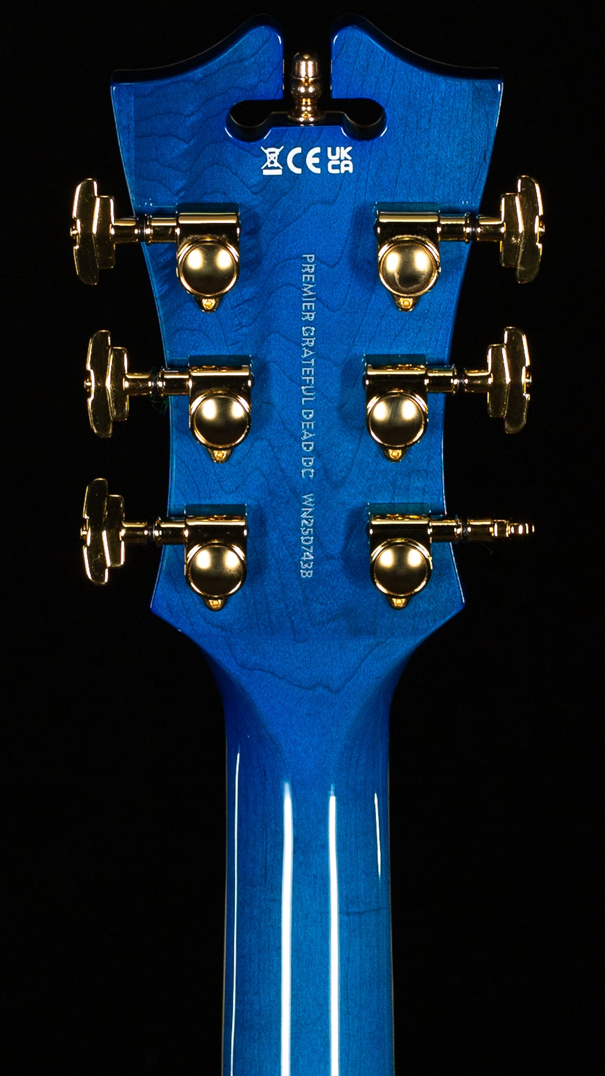D&#39;Angelico Premier Grateful Dead DC (438)