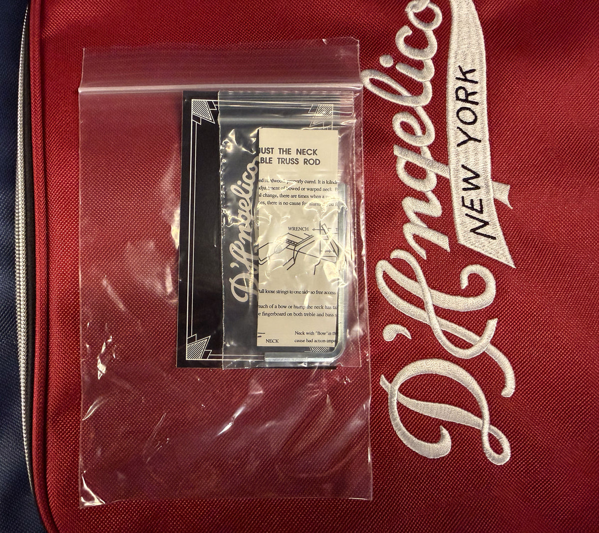 D&#39;Angelico Premier Grateful Dead DC (438)