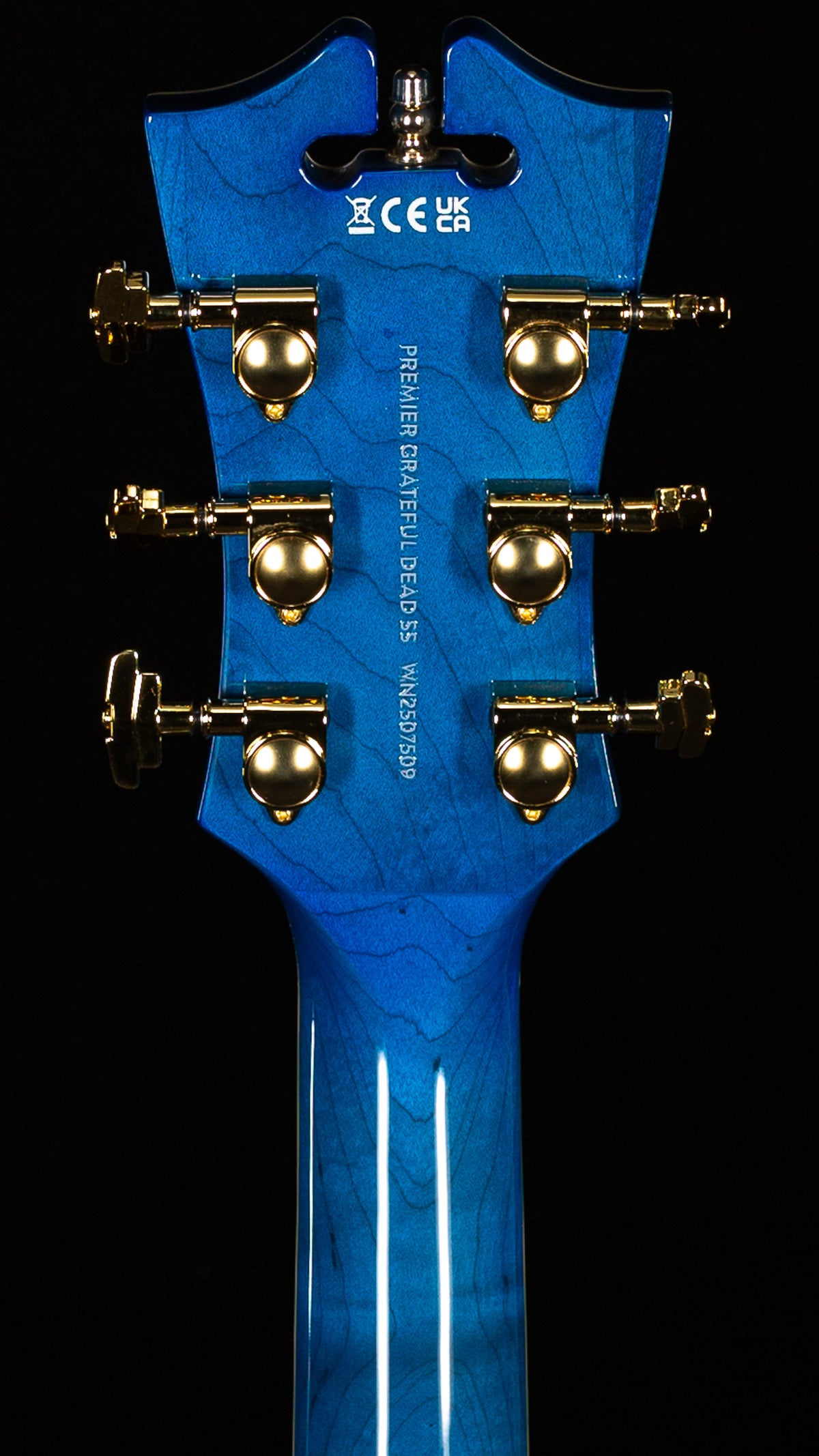 D&#39;Angelico Premier Grateful Dead SS (509)