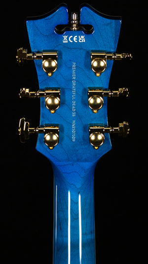 D'Angelico Premier Grateful Dead SS (509)