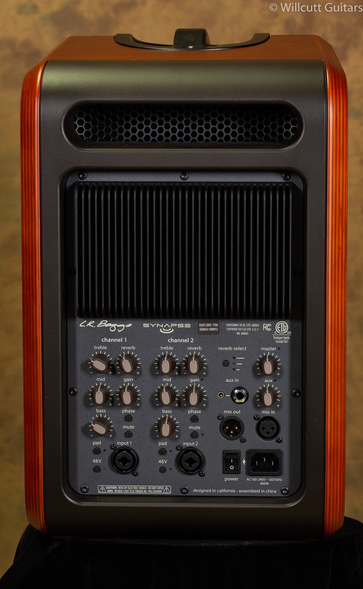 LR Baggs Synapse Personal PA System USED