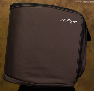 LR Baggs Synapse Personal PA System USED